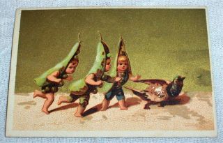 Rare : Pea Pod Fairies Victorian Trade Card,  Lithograph Bird Children Fairy