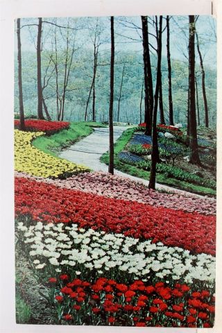 York Ny Sterling Forest Gardens Postcard Old Vintage Card View Standard Post