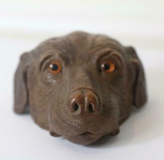 Black Forest Wooden Carved Treen Dog Head Inkwell Top Glass Eyes 1890