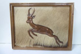 Vintage South African Springbok Copper Relief Art Work Animal Hide Framed Mount