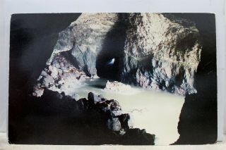 Oregon Or Coast Sea Lion Cave Postcard Old Vintage Card View Standard Souvenir