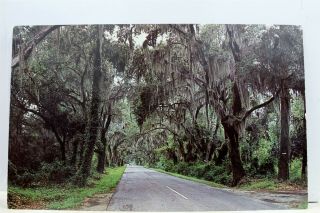 South Carolina Sc Charleston Summerville Ashley River Road Postcard Old Vintage