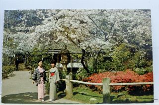 California Ca San Francisco Japanese Tea Garden Golden Gate Park Postcard Old Pc