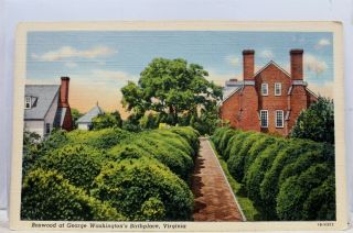 Virginia Va George Washington Birthplace Boxwood Postcard Old Vintage Card View