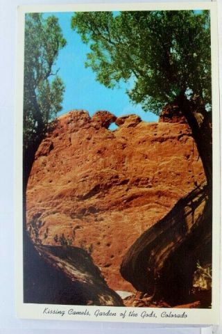 Colorado Co Garden Of The Gods Kissing Camels Postcard Old Vintage Card View Pc