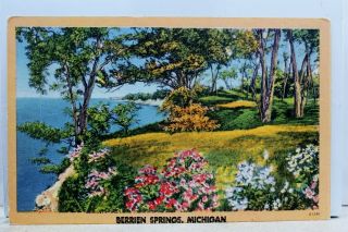 Michigan Mi Berrien Springs Postcard Old Vintage Card View Standard Souvenir Pc