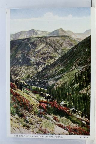 California Ca Kern Canyon Drop Postcard Old Vintage Card View Standard Souvenir