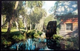 1960s Water Wheel And Old Mill,  State Hwy.  40,  Juniper Spring Fl,