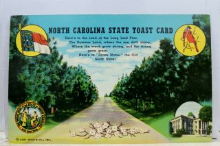North Carolina Nc Long Leaf Pine State Toast Card Postcard Old Vintage Card View