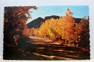 Colorado Co Cripple Creek Gold Camp Road Autumn Rockies Postcard Old Vintage Pc