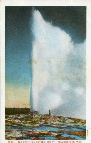 Yellowstone Old Faithful Geyser Haynes Postcard 12970