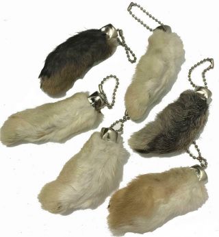 100 Natural Color Lucky Rabbit Foot Key Chain Real Rabbits Feet Authentic Bulk