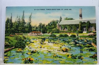 Missouri Mo St Louis Tower Grove Park Lily Pond Postcard Old Vintage Card View