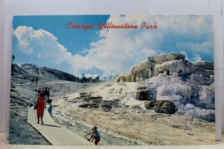 Yellowstone National Park Mammoth Hot Springs Terrace Postcard Old Vintage Card