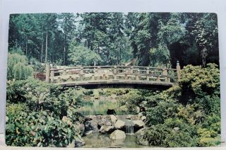 Oregon Or Portland Japanese Garden Moonbridge Postcard Old Vintage Card View Pc