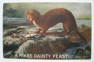 Mink; Northwestern Hide & Fur Minneapolis Mn Old 1915 Advertising Postcard