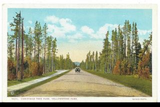 Wb Postcard,  Old Car,  Christmas Tree Park,  Yellowstone National Park