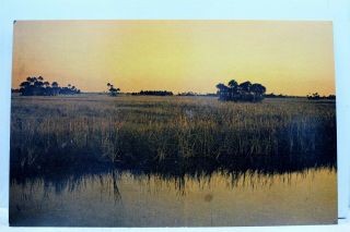 Florida Fl Everglades Colorful Sunset Postcard Old Vintage Card View Standard Pc