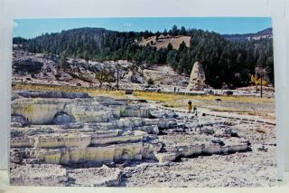 Yellowstone National Park Mammoth Hot Springs Opal Terrace Postcard Old Vintage