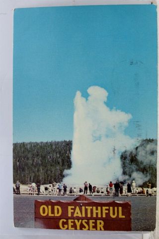 Wyoming Wy Yellowstone National Park Old Faithful Geyser Postcard Old Vintage Pc