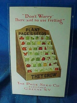Early 20thc Page Seed Co Greene Ny Advertising Postcard W Store Display