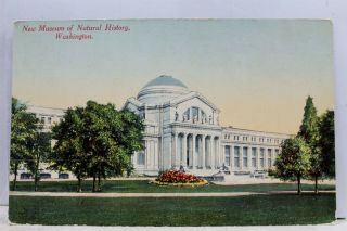 Washington Dc Natural History Museum Postcard Old Vintage Card View Standard Pc
