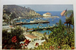 California Ca Catalina Island Avalon Bay Postcard Old Vintage Card View Standard