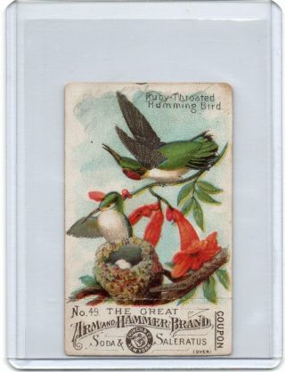 1888 Arm And Hammer Birds Of America Coupon Card Humming Bird