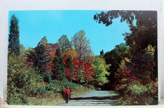 Pennsylvania Pa Bucks County Washington Crossing State Park Autumn Postcard Old