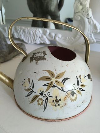 Old Vintage Rounded Ohio Art Violets Plants Watering Can Floral Design Pink