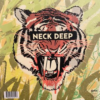 Rain in July/A History of Bad Decisions by Neck Deep (Vinyl,  Jan - 2015,  Hopeless 2