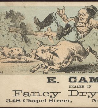 Haven Ct Trade Card,  E Camp Dealer In Fancy Dry Goods At 348 Chapel St V645