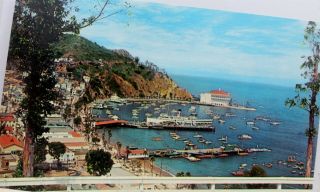 California Ca Catalina Island Avalon Bay Terrace Drive Postcard Old Vintage Card