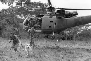 Rhodesian War Photo Rli & Rar Troopers With Tracking Dog Rhodesia / 8024
