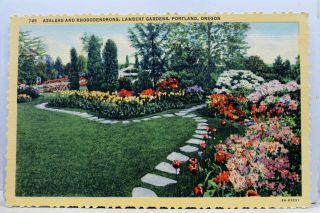 Oregon Or Portland Lambert Gardens Azaleas Rhododendrons Postcard Old Vintage Pc