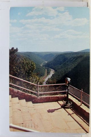 Pennsylvania Pa Leonard Harrison State Park Lookout Postcard Old Vintage Card Pc