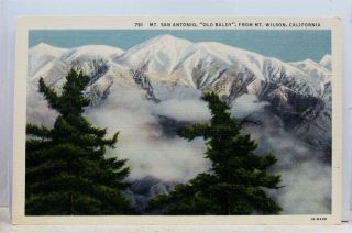 California Ca Mt Wilson Mount San Antonio Baldy Postcard Old Vintage Card View