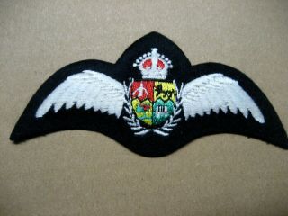 /badge South Africa Air Force Pilot Wings