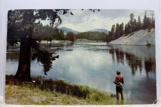 Wyoming Wy Yellowstone National Park River Fishing Postcard Old Vintage Card Pc