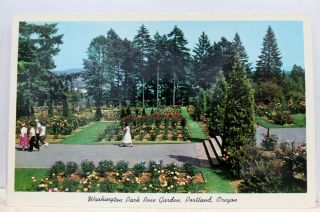 Oregon Or Portland Washington Park Rose Gardens Postcard Old Vintage Card View