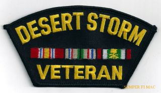 Desert Storm Veteran Hat Patch Gulf War Pin Up Us Army Marine Navy Air Force Wow