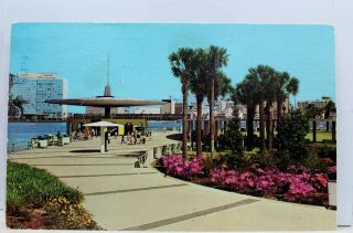 Florida Fl Jacksonville St Johns River Park Marina Postcard Old Vintage Card Pc