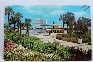 Florida Fl Jacksonville Marina Postcard Old Vintage Card View Standard Souvenir