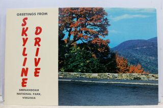 Virginia Va Shenandoah National Park Skyline Drive Greetings Postcard Old View