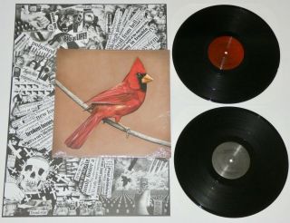 Alexisonfire Old Crows Young Cardinals 180 Gram Vinyl 2lp City And Colour.  Moneen