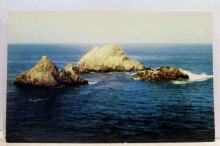 California Ca San Francisco Seal Rocks Cliff House Postcard Old Vintage Card Pc