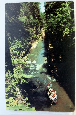 York Ny Ausable Chasm Boat Postcard Old Vintage Card View Standard Souvenir