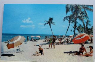 Florida Fl Carefree Beach Life Postcard Old Vintage Card View Standard Souvenir