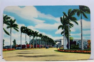 Florida Fl Miami Gulfstream Park Entrance Race Course Postcard Old Vintage Card
