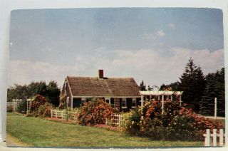 Massachusetts Ma Cape Cod Falmouth Rose Cottage Postcard Old Vintage Card View